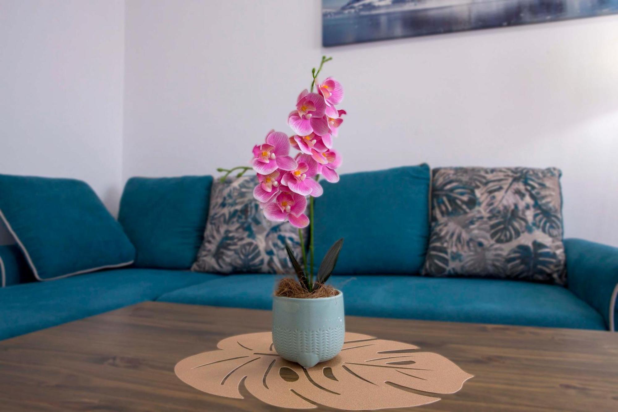 Casa Del Durmitor Apartment Zabljak  Ngoại thất bức ảnh